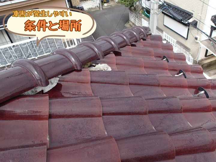 凍害が発生しやすい条件と場所
